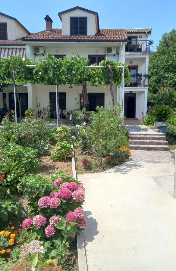 Daire Center